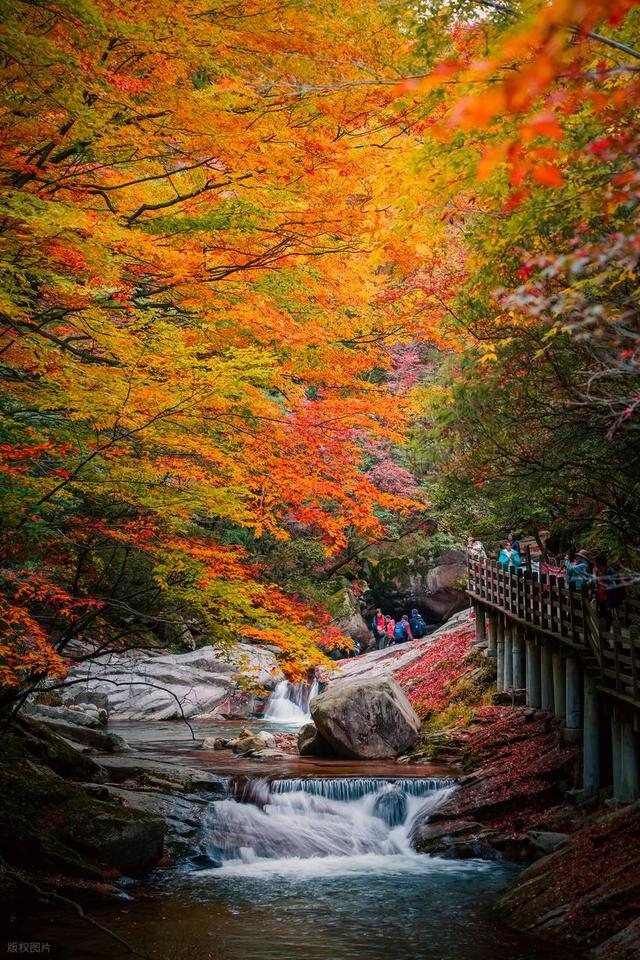 快收好！11月赏秋最值得去的地方，随便挑一个就出发，绝对不白去