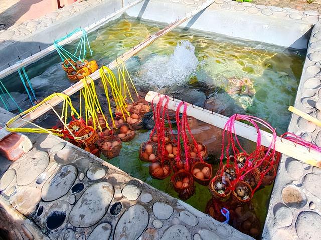泰国旅游：清莱观瞻温泉白蓝黑三庙行（图）