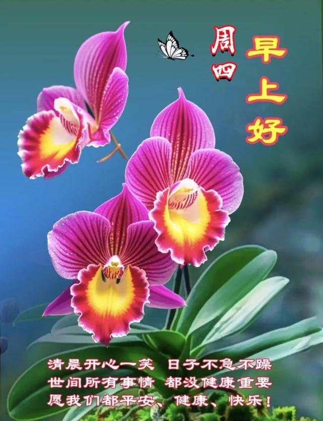 每日100句吉祥祝福语，最美的问候语大全，祝福朋友们快乐吉祥