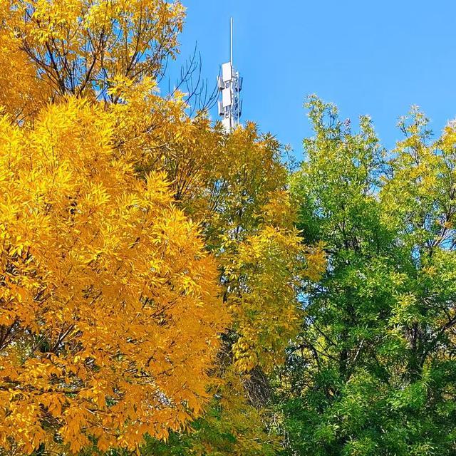 你被‘优化’掉，不是因为你不好，而是因为你的‘性价比’不够了