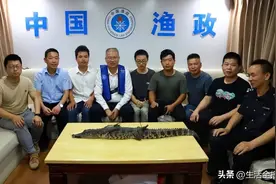 第二条暹罗鳄被捕获！约为一岁半，雄性幼体，长1.3米，重13斤图片
