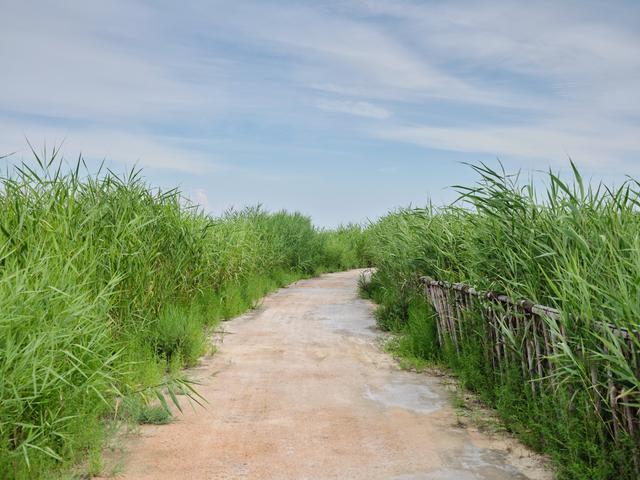 锦州东方华城湿地公园，环境优美，水鸟争鸣，是休闲散心的好去处