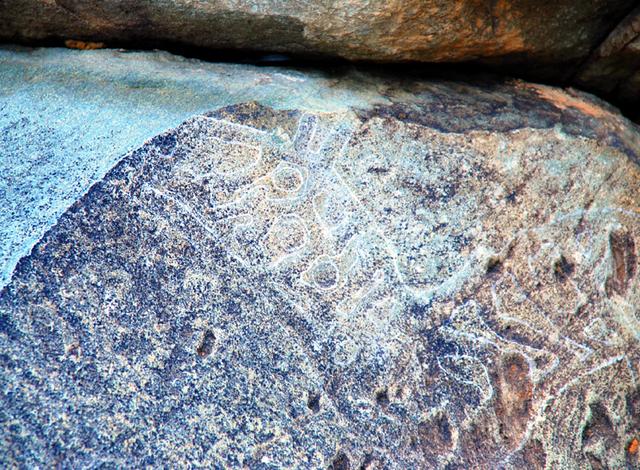 宁夏旅游：从沙漠绿洲到贺兰山岩画揽胜（图）