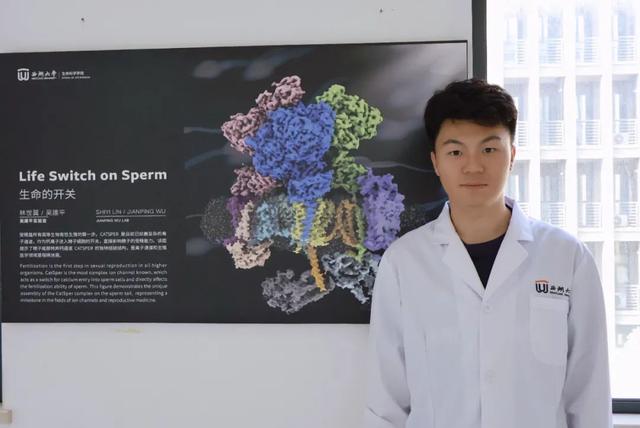 强！西湖大学博士生，再获华人生命科学领域在读博士最高奖