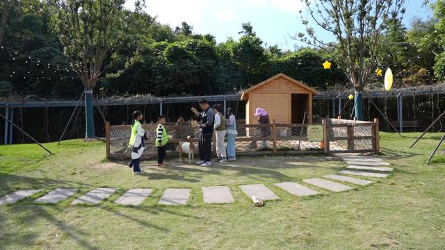 “秋假大军”涌入，湖州市各景区热度飙升