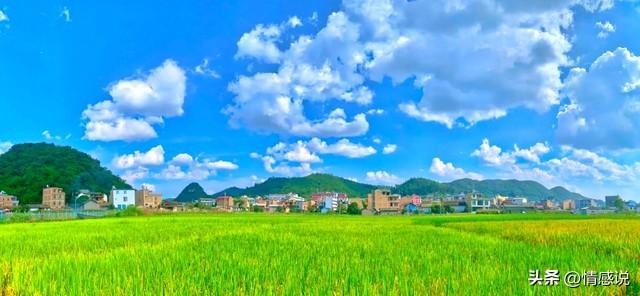 为什么善良的人总是吃亏？答案很残忍：不是不报，而是时候未到
