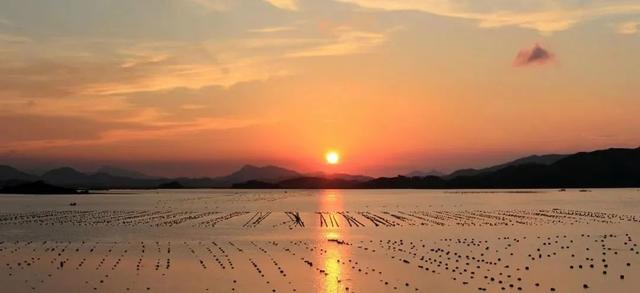 惠州进全球榜单！快来看看吧~