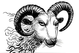 生肖马，您知道您的贵人是谁吗？图片