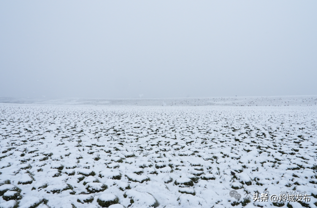 美仁初雪，八月飞白！邂逅羚城最意外的浪漫