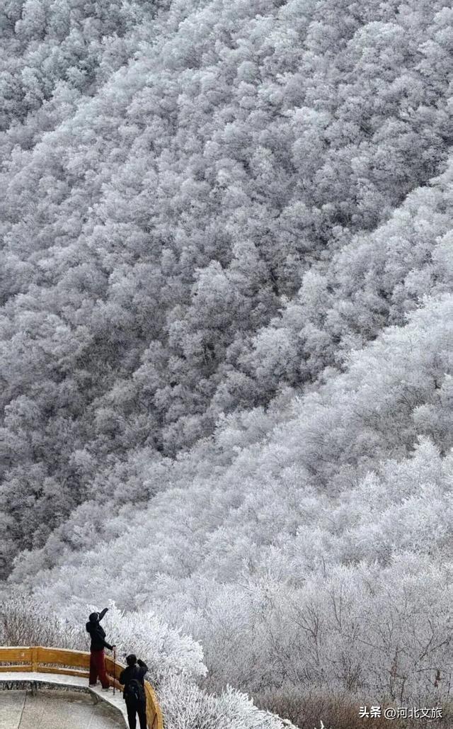 白石山雾凇，带你一秒入冬，感受冰晶玉洁的童话世界