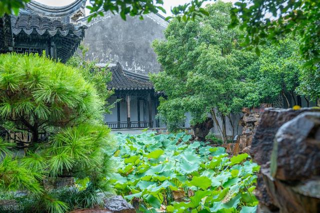 不愧是中国最江南的城市！苏州必去的10大好玩景点，你去过几个？