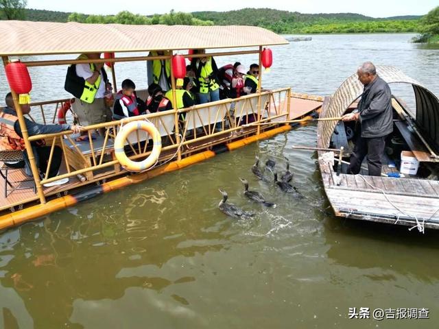 净月潭“十一”人气爆棚！26.5万余人次接待量再创景区接待新高
