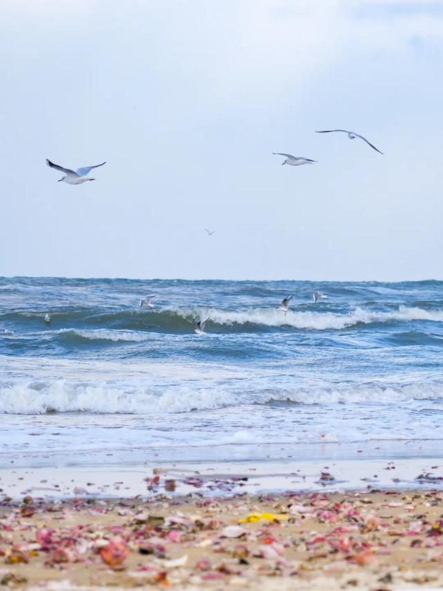 就现在！烟台惊现一片无人岛，美爆了！