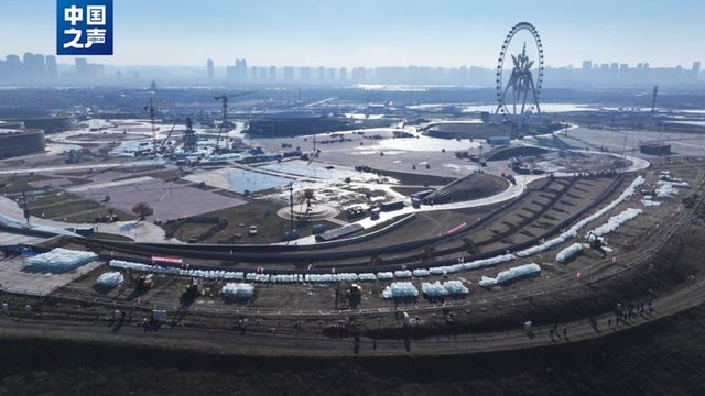 “顶流”即将回归！TA又“长个儿”啦