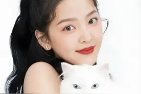 美女与“野兽”！大陆娱乐圈猫系女星TOP10图片