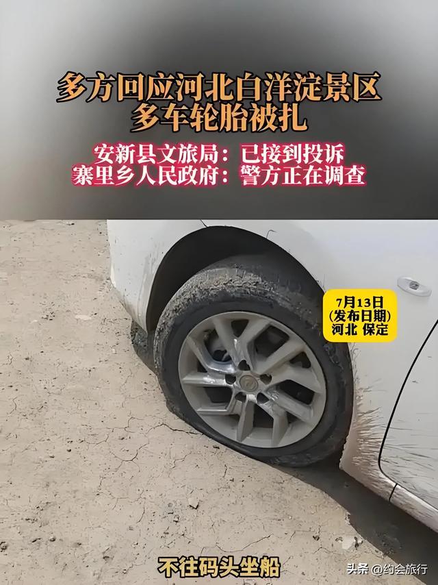 白洋淀到底怎么了？船工私赚300，扎胎党月入1万，坑完外地坑本地