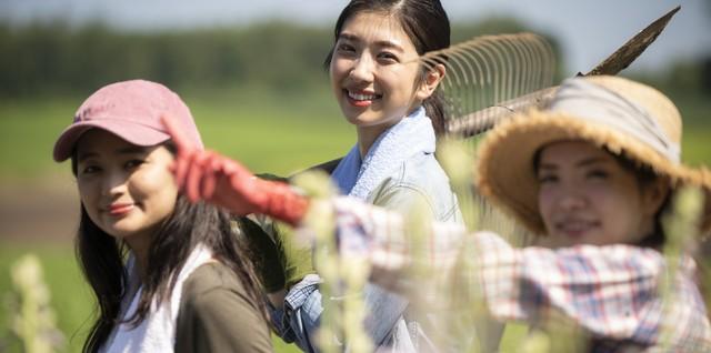 87年，去同学家玩，他姐姐把我拉进房间，教我玩“俄罗斯方块”