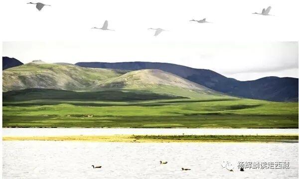 昌都•类乌齐，必须去的打卡地，风景好美