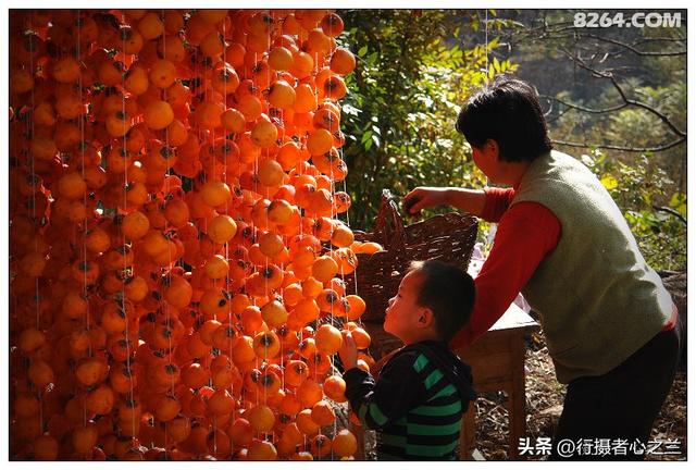 山东行游影记（194）—青州仰天山柿子沟（二）