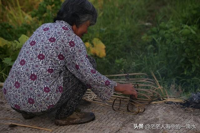 让人唏嘘不已的丈母娘