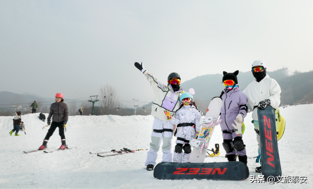 洛阳宝宝冲！四条线路解锁“一山一圣”的新玩法，朋友圈从洛阳卷到山东！