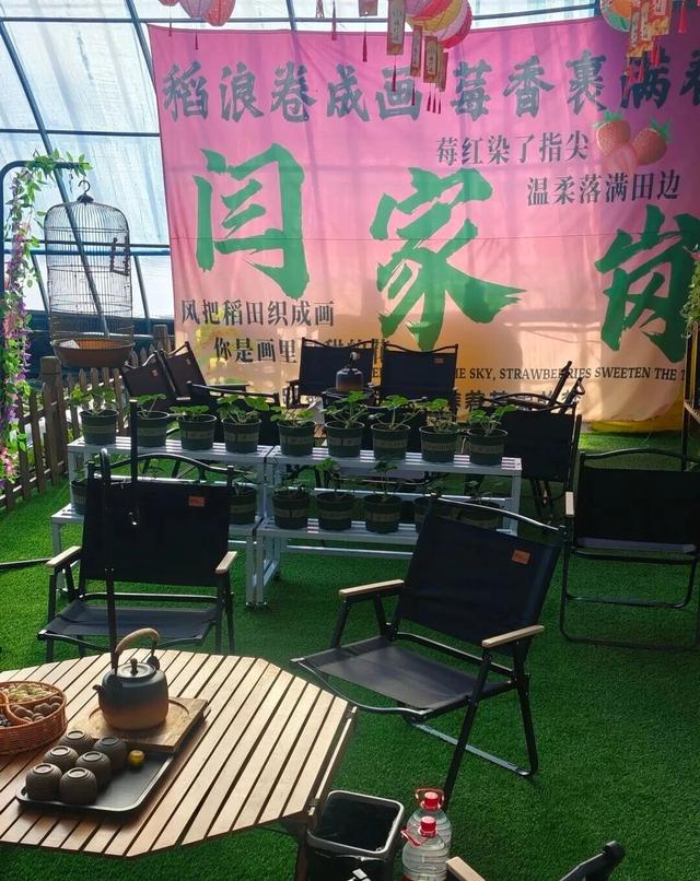 赴草莓小镇，寻地道年味！