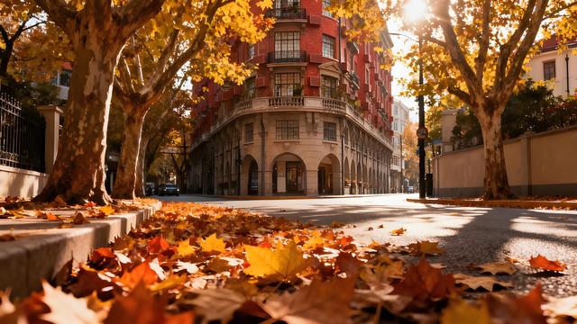 打卡金秋中国！申城秋赋：烟火与诗意交织的斑斓之旅