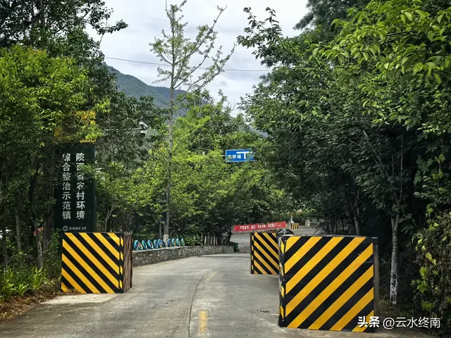 美不美？从“吐一路”到最美乡村路，看4000年银杏，探2000年栈道