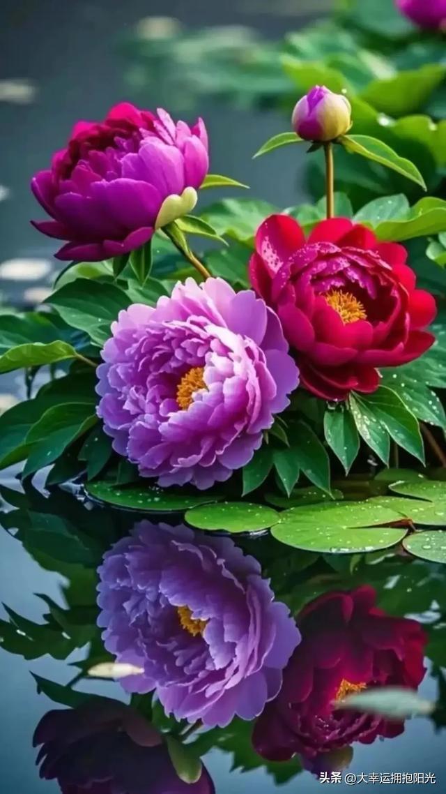 贵在用心，贵在认真，贵在坚持，贵在专注不旁骛