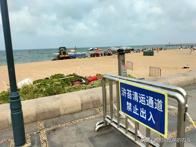 缩水版日照至连云港“半日山海行”自驾游记