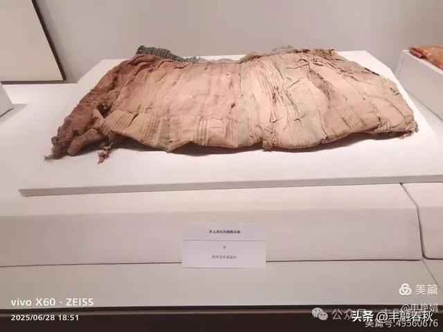 探秘丝路明珠,邂逅巴楚千年文明——走进新疆巴楚博物馆|申艳娟