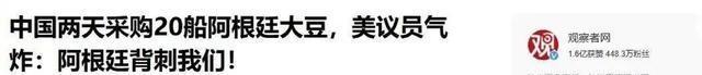 阿根廷“疯子”又赢了，130万吨大豆运往中国，没有一粒是美国的