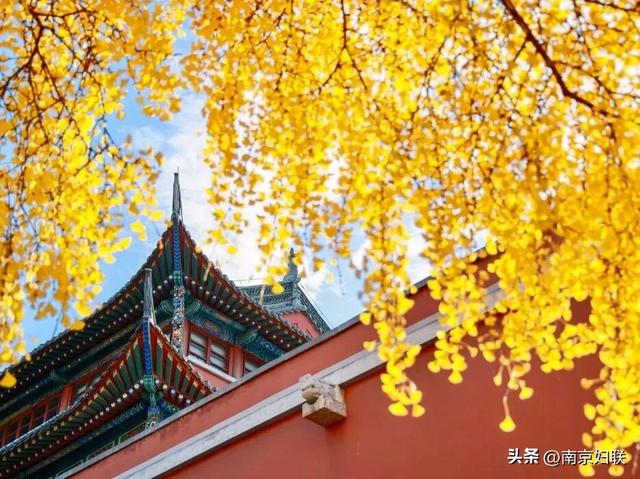 南京这些“魔法之窗”，怎么拍都出片！