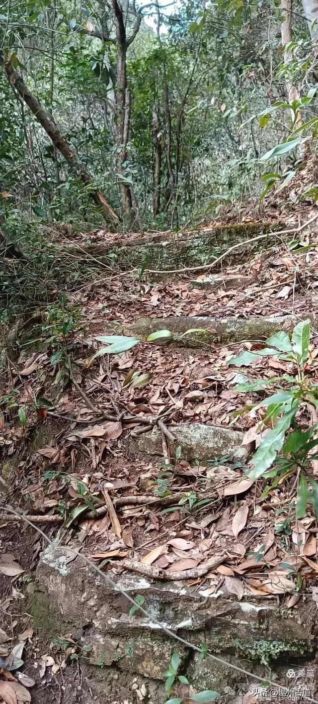 探秘楠溪江源头，深山中的秘境！