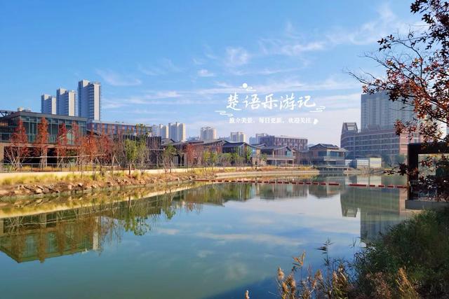 宁波慈溪这处风景被人忽略但很优美，即将迎来绚烂时刻，值得游玩