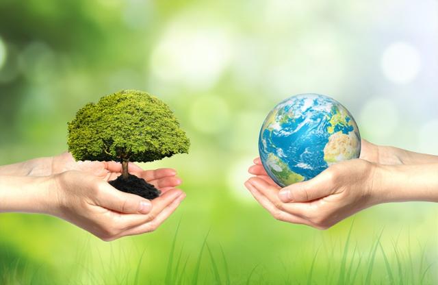 泰新携手定调未来	，共筑绿色数字能源发展，区域一体化按下加速键