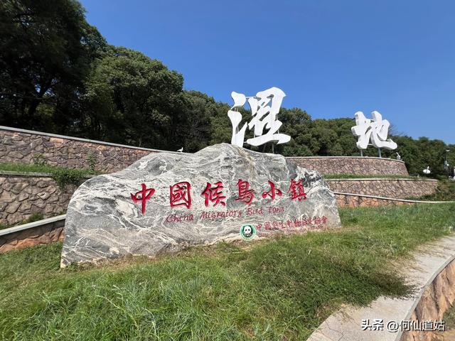 吴城“世界湿地，候鸟王国”