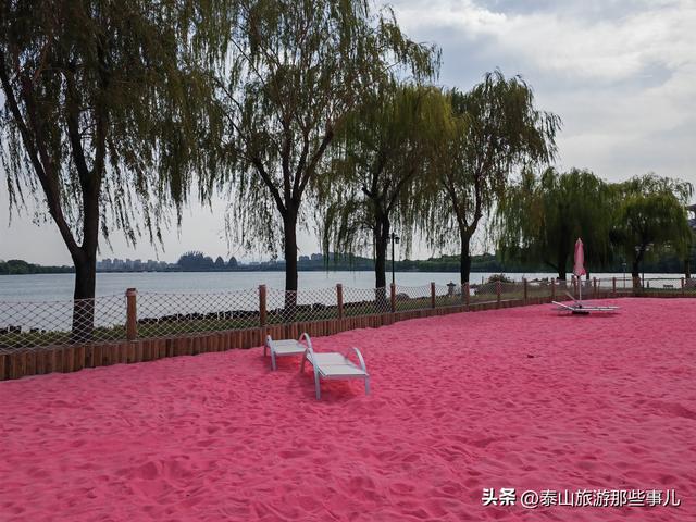泰安：西南藏着一个粉色沙滩，占地5000平，一个情侣喜爱的打卡地