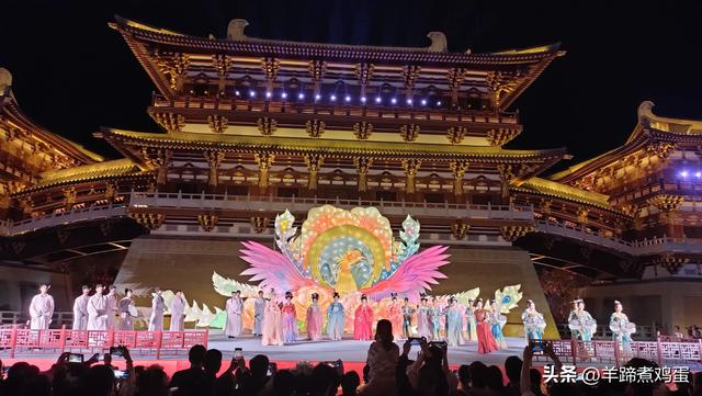 做几天洛阳人——游河南洛阳赏牡丹芬芳 总体概述(四)