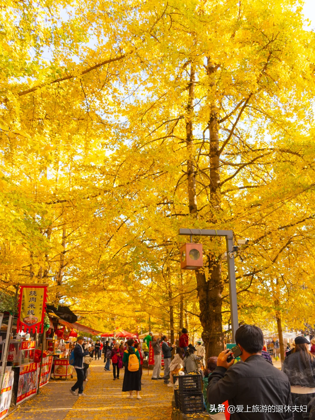 云南保山市：腾冲是它的代管县级市，市府所在的隆阳区也值得游玩