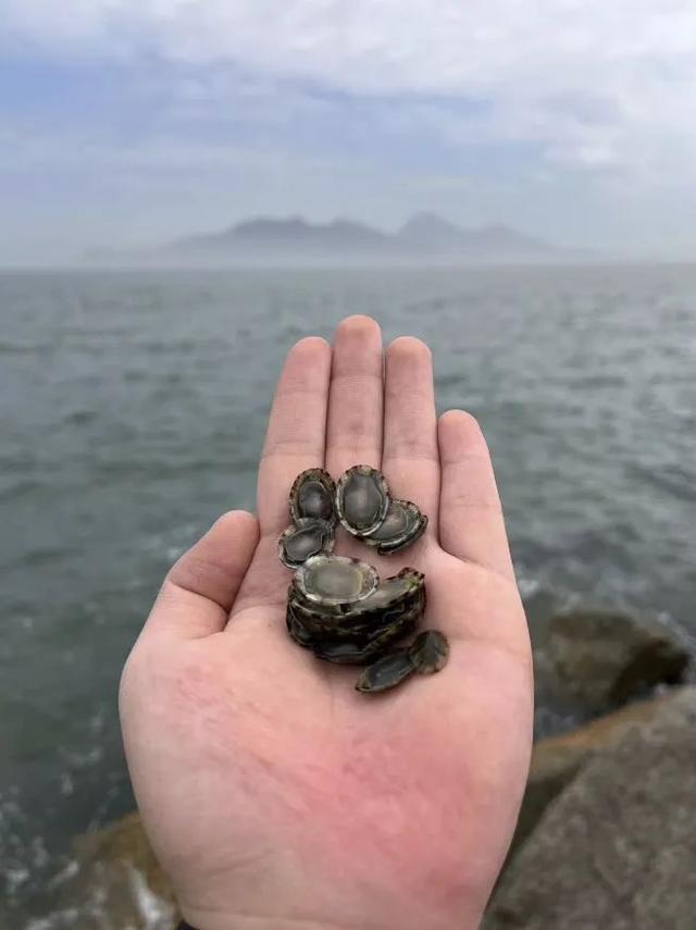 珠海赶海地图出炉！这些宝藏海滩，火爆了！