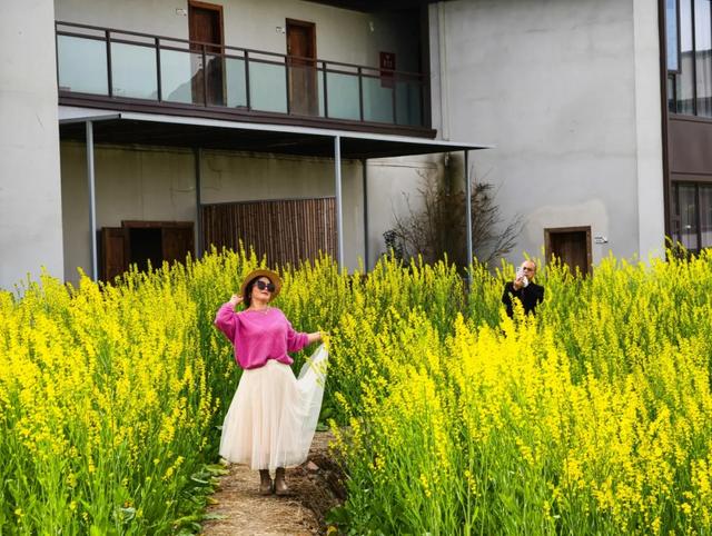 100%出片！郫都蝴蝶村彩色油菜花海，进入最美花期