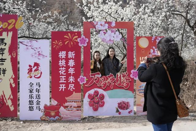 花开陇南，春风十里等你来