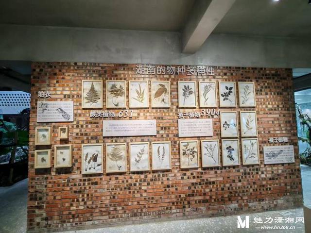 新化三家博物馆入选省级乡村名录文化矩阵 助力马年文旅开新篇