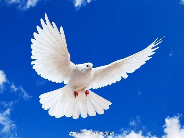 和平已无望？马斯克预言大战时间，美政府已签字：提到台湾省8次