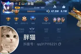 胖猫跳江事件引热议，网友祭奠外卖变空包，整个城市都是榨汁机！图片