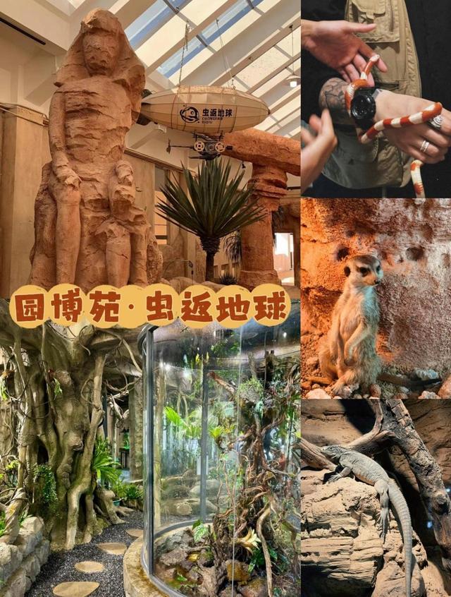 厦门园博苑虫返地球博物馆，这是一座沉浸式活体昆虫主题博物馆