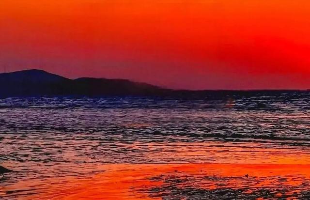 在金普，如何优雅地“猫冬”？这份幸福捕捉指南请收好！