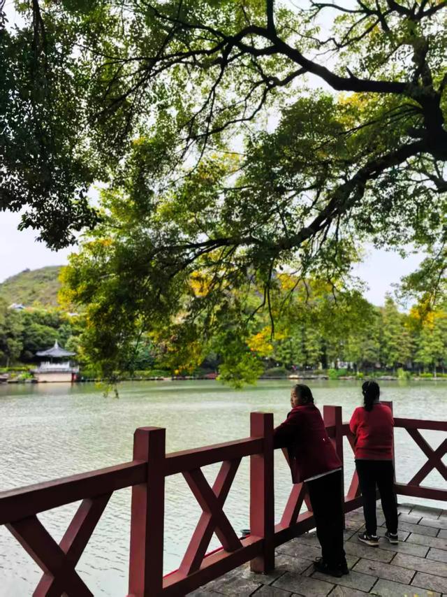 桂林：最是初冬晴午后！