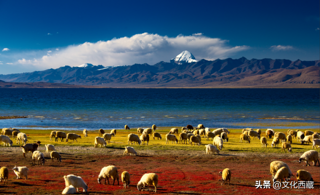 一文掌握西藏旅行！全景资源地图出炉，玩出新高度！